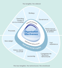OECam_Organisation_Effectiveness
