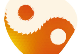 The Journey to Ambi-dexterity - building greater innovation