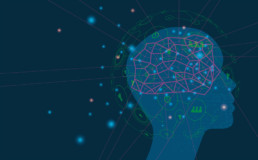 Brain & decision-making