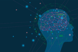 Brain & decision-making
