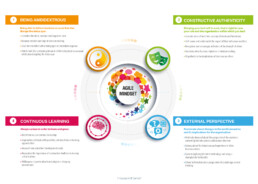 agile mindset OE Cam