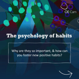 Psychology of Habits